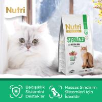 Nutri Feline Sterilised Kuzu Etli 10kg Kuru Kedi Maması