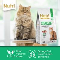 Nutri Feline Sterilised Kuzu Etli 10kg Kuru Kedi Maması