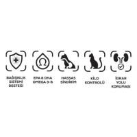 Nutri Feline Sterilized Somon Etli 10Kg Kedi Maması
